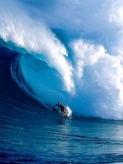 Surfing.jpg